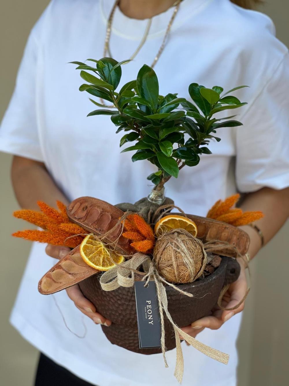 Orange Brown Bonsai Ağacı
